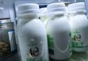 天潤（TERUN）新疆特產(chǎn) 濃縮原味風(fēng)味發(fā)酵乳低溫酸奶禮盒裝生鮮輕食180g*12袋 曬單實(shí)拍圖