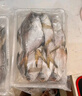 驚鮮 冷凍東海銀鯧魚(yú)2.4斤 生鮮魚(yú)類(lèi) 燒烤食材 源頭直發(fā) 曬單實(shí)拍圖