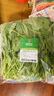 【24小時(shí)菜】青浦芥蘭苗 250g 曬單實(shí)拍圖