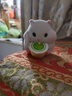 超萌吃貨倉鼠克拉克手辦可愛(ài)呆萌公仔桌面擺件動(dòng)物盲盒 隨機一款倉鼠 盒裝 曬單實(shí)拍圖
