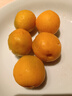 田良季敦煌李廣杏新鮮水果甜杏子甘肅特產(chǎn)當季水果吊干杏現(xiàn)摘現(xiàn)發(fā)整箱 【80%人選劃算】5斤普通裝 【空運鮮達】S+級果丨單果35g+ 曬單實拍圖