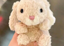Jellycat米色甜美小兔小短腿公仔動(dòng)物毛絨玩偶小生日娃娃生日婚禮禮物 甜美小兔 One Size 曬單實(shí)拍圖