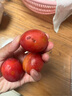 庾豐當(dāng)季新鮮現(xiàn)摘西梅 新鮮水果整箱 孕婦藍(lán)蜜法蘭西梅 團(tuán)購送禮 5斤裝（凈果4.5斤）甄選果王 顆顆甄選 產(chǎn)地直發(fā) 曬單實(shí)拍圖