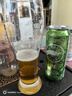 鵝島（Goose Island）IPA 經(jīng)典印度淡色艾爾 精釀啤酒 百威集團 聚會(huì )聚餐 中秋送禮 500mL  18罐 整箱裝 曬單實(shí)拍圖