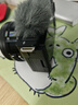 索尼（SONY）【政府補(bǔ)貼】ZV-E10L 半畫幅微單相機(jī) 標(biāo)準(zhǔn)鏡頭套裝 顏值機(jī)身 精準(zhǔn)對(duì)焦 VLOG APS-C畫幅 黑色 曬單實(shí)拍圖