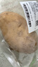 【產(chǎn)地直采】新土豆約500g 曬單實拍圖