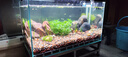 尼特利AT5S水草燈580S三代專業(yè)級全光譜led伸縮魚缸燈專用植物補光燈 曬單實拍圖