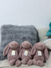 Jellycat致臻害羞羅莎維洛邦尼兔動(dòng)物毛絨玩偶安撫送禮娃娃生日禮物520 害羞羅莎邦尼兔 H31 X W12 CM 曬單實(shí)拍圖