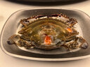 梭子蟹舟山寧波特產(chǎn)紅膏咸嗆蟹生醉蟹整只梭子蟹生腌螃蟹即食 紅膏咸嗆蟹2只 4-6兩/只 曬單實(shí)拍圖