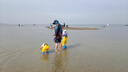 佳貝艾特（Kabrita）悅白嬰幼兒配方羊奶粉3段800克*7（1-3歲）天然A2蛋白 曬單實(shí)拍圖
