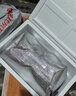 鮮京采三去海鱸魚(yú)3斤/3條 生鮮魚(yú)類(lèi) 白蕉鱸魚(yú)地標 無(wú)冰凈重3斤 源頭直發(fā) 曬單實(shí)拍圖