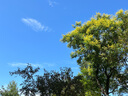 幫寶適【護(hù)臀級】一級幫新生兒紙尿褲添加類胎脂夏天超薄透氣S52尿不濕 曬單實拍圖