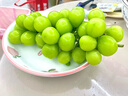 四川大涼山陽(yáng)光葡萄青提晴王無(wú)籽葡萄新鮮水果爆甜錦時(shí) 帶箱5斤（單果10g+）2-3串 曬單實(shí)拍圖