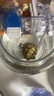 茨格曼圓缸魚缸過濾器三合一凈水循環(huán)小型瀑布式壁掛過濾圓柱缸頂部過濾 YL-3【適合魚缸口徑13.6-17.8cm】 曬單實拍圖