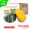 京鮮生 國產(chǎn)貝貝南瓜 蔬菜板栗味輔食 凈重4.5斤 單果250克+ 源頭直發(fā) 曬單實(shí)拍圖