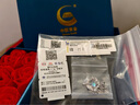 中國黃金（CHINA GOLD）藍桉與鳥S925銀項鏈女生新款銀飾吊墜七夕情人節(jié)禮物送女朋友老婆 （刻字/代寫賀卡）藍桉與鳥項鏈【玫瑰禮盒】 曬單實拍圖