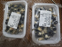 微山湖農(nóng)家特大田螺肉大號(hào)螺螄肉現(xiàn)挑新鮮去殼無(wú)鹽凈肉螺螄粉專用 特大田螺肉 500g 曬單實(shí)拍圖