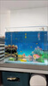 魚(yú)缸背景貼紙5d高清畫(huà)立體畫(huà)海底世界3d水族箱造景裝飾壁紙自粘紙 02.海洋水母 寬50cm-高40cm【送刮板】 曬單實(shí)拍圖