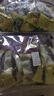 皇純即食海參凈重2斤 有機(jī)認(rèn)證 威海冷凍刺參禮盒鮮食免發(fā)泡 即食海參 1kg 32-50只小規(guī)格2斤裝 曬單實(shí)拍圖