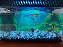 瘋狂水草適配小mi魚(yú)缸造景背景板貼紙裝飾亞克力生態(tài)缸裝飾造景擺件高清景 【高清背板】翠波仙境 不含缸 曬單實(shí)拍圖