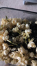 莉香橫縣茉莉花茶【茉莉花干】50g茉莉清香國家地標農產(chǎn)品辦公室必備 50g*1袋 曬單實(shí)拍圖