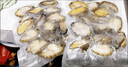 【特大號】鮮活大鮑魚新鮮冷凍個大鮮活海捕超大鮑魚非活體 活凍大鮑魚8-10頭 曬單實拍圖