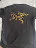 始祖鳥（ARC'TERYX）Kragg SL系列Cotton 男子戶外休閑純棉透氣鳥標(biāo)印花圓領(lǐng)短袖T恤衫 X8464/24K黑金（后背鳥標(biāo)） M （70-80kg）尺碼偏大 曬單實(shí)拍圖