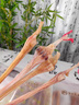 花色堂通用北同長(cháng)白山梅花鹿筋干干鹿筋東北特產(chǎn)去蹄鹿筋主筋煲湯泡 精選四趾梅花鹿鹿筋500克 曬單實(shí)拍圖