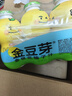 金豆芽?jī)和疸y花柚子汁155ml*16瓶禮盒夏天孩子飲料寶寶零食果汁西柚汁 曬單實(shí)拍圖