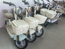 綠源【北京專享】卡樂20Pro新國標(biāo)可上牌電動自行車48V24Ah鋰電露比聯(lián)名款 通勤高顏值時尚代步電瓶車 到門店選顏色 曬單實拍圖