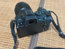 尼康（Nikon）Z5II全畫(huà)幅微單相機新手入門(mén)高清攝影拍照 視頻防抖 vlog推薦性?xún)r(jià)比無(wú)反相機新品官方Z52/Z5二代 Z5II+50/1.8 S鏡頭組合 曬單實(shí)拍圖