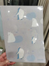 國譽(yù)（KOKUYO）一米新純單片文件夾A4紙L型文件套塑料單頁(yè)夾套裝插頁(yè)辦公文件袋資料檔案學(xué)生試卷收納整理 【mofu限定】三色套裝 曬單實(shí)拍圖
