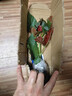 竹節(jié)海棠花盆栽大葉斑點四季斑葉竹節(jié)秋海棠花卉綠植物室內(nèi)陽臺苗 一年苗20厘米左右 曬單實拍圖