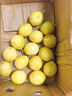 正宗欽蜜9號百香果黃金百香果汁水多新鮮現(xiàn)摘現(xiàn)發(fā)當季應(yīng)季水果 5斤凈重4.5斤 家庭裝單果40g+ 曬單實拍圖