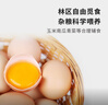 九華糧品散養(yǎng)土雞蛋60枚 凈重4.56斤 農(nóng)家柴雞蛋 笨雞蛋 月子蛋 曬單實(shí)拍圖