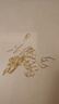黑針金袖魚(yú)鉤散裝日本進(jìn)口正品細(xì)條極細(xì)釣魚(yú)鉤鯽魚(yú)鉤魚(yú)勾有無(wú)倒刺 金袖有刺【50枚】 5號(hào) 曬單實(shí)拍圖