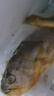 鮮京采 冷凍三去黃花魚(寧德大黃魚)1700g (5條裝)  禮盒  生鮮 海魚 曬單實拍圖