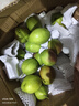 源自新疆紅香酥梨新鮮梨子3/5/10斤脆甜皮薄梨子應季水果整箱批發(fā) 凈重9斤精選大果 曬單實拍圖