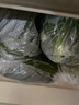 聽(tīng)蔬 有機(jī)芝麻菜 有機(jī)認(rèn)證現(xiàn)摘發(fā) 寬葉 15天內(nèi)幼葉嫩葉沙拉食材無(wú)農(nóng)殘 芝麻菜 50g 曬單實(shí)拍圖