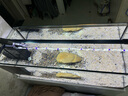 吉印刀鋒s魚缸燈led燈防水全光譜魚缸照明燈水草燈小型超白魚燈96cm 曬單實拍圖
