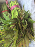 香椿芽新鮮野生頭茬紅油嫩芽露天冷鏈現貨3斤當季野菜春芽香椿菜 優(yōu)選香椿芽3斤裝 曬單實(shí)拍圖