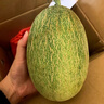 黃六爺正宗哈密瓜9斤新鮮水果網(wǎng)紋玲瓏蜜靜岡冰淇淋西州蜜甜瓜整箱包郵 2-4斤【1-2個果】爆甜多汁 曬單實拍圖