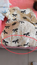 闊色（kuose）杏色波點蝴蝶結(jié)印花短袖上衣女2025春夏季新款少女感半袖T恤 杏色 L 曬單實拍圖