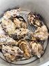 百味殿【活鮮】生蠔 乳山牡蠣 新鮮海蠣子生鮮貝類 【鮮肉多汁】2XL帶箱5斤(15-18只) 曬單實拍圖