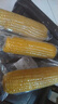京鮮生東北黃糯玉米棒200g×8根 甜黏玉米 多種包裝隨機(jī)發(fā)貨 源頭直發(fā) 曬單實(shí)拍圖
