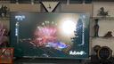 海信電視55E5N Pro 55英寸 DeepSeek AI電視 512分區(qū)Mini LED 240Hz超高刷 國家補貼20% 曬單實拍圖