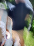 拇指白小T二代白色短袖T恤男女春夏三防純棉白小丅打底衫上衣 黑色男款 L 曬單實拍圖