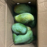 壹萌果蔬金煌芒芒果 當(dāng)季現(xiàn)摘廣西大芒果新鮮水果青皮芒果整箱送禮 5斤超精品果【單果150g+】 凈4.5斤 曬單實(shí)拍圖