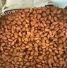 皇家GI32腸道處方貓糧 腸胃炎大腸炎 成貓幼貓皇家處方糧調(diào)理腸胃 GI32成貓腸道處方糧3.5KG 曬單實拍圖