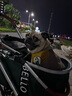 bello   W1 中小型寵物推車犬外出行狗車包分離狗狗折疊鋁合金狗車貓車 W1綠色格紋 【可分離】送雨罩 寵物推車 曬單實拍圖